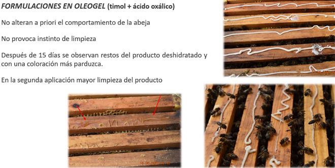 resultados oleogel timol+acido oxalico