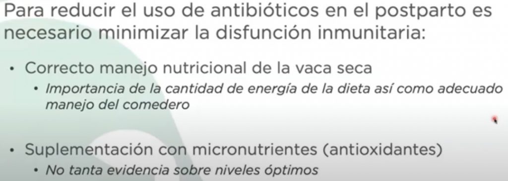 Angel Abuelo manejo nutricional y suplementacion