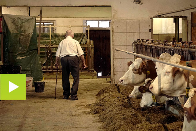 Interior do cortello dunha granxa familiar de Austria | Agrotour 2021