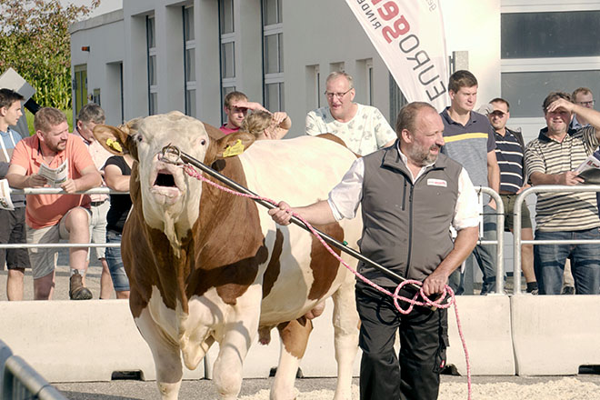 Imaxes do Centro de Inseminación Artificial de Austria