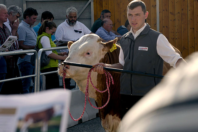Imaxes do Centro de Inseminación Artificial de Austria