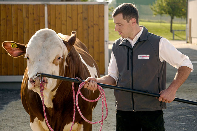 Imaxes do Centro de Inseminación Artificial de Austria