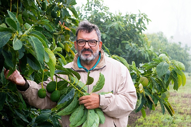 Juan Ángel Pérez, un dos socios de Cultivos Miñotos