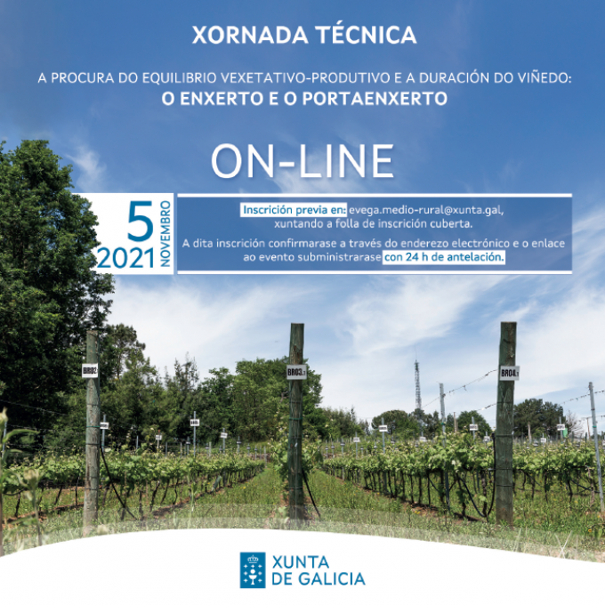EVEGA-procura-equilibrio-vinedo