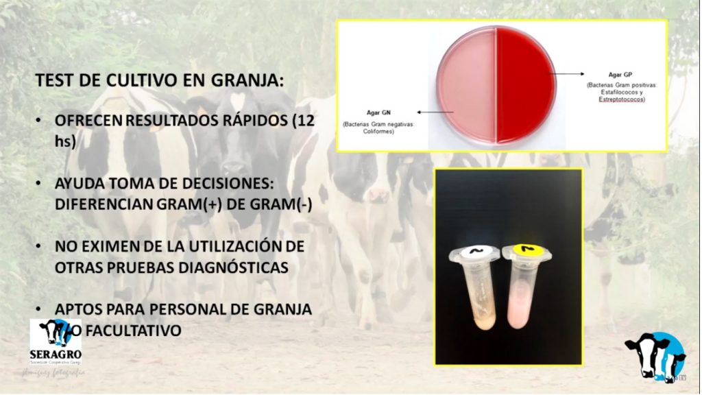 Marga Penelas mamitis11