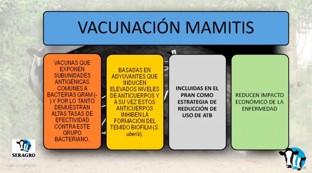 Marga Penelas mamitis13