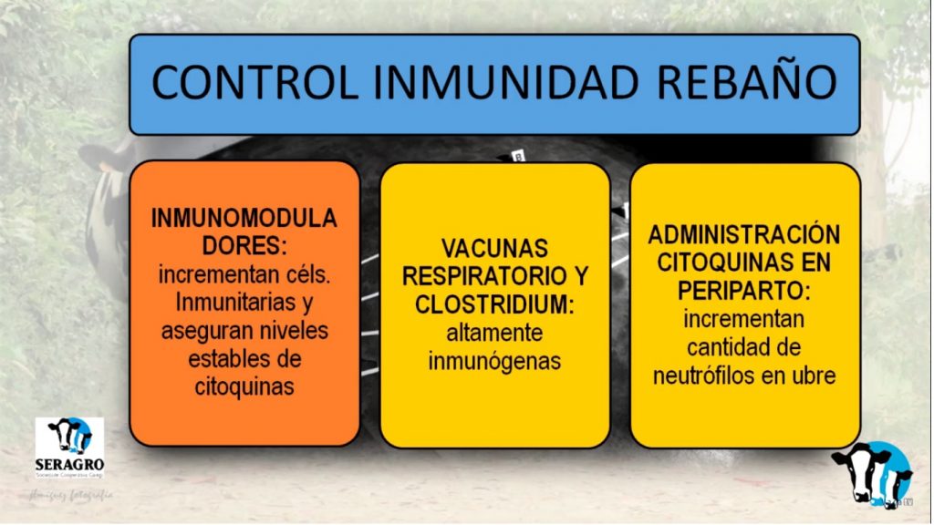 Marga Penelas mamitis14