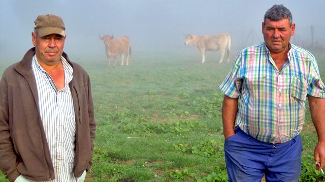 José Mon e Alberto López, os dous socios asalariados da SAT, xunto ao gando un día de néboa na montaña de Lugo