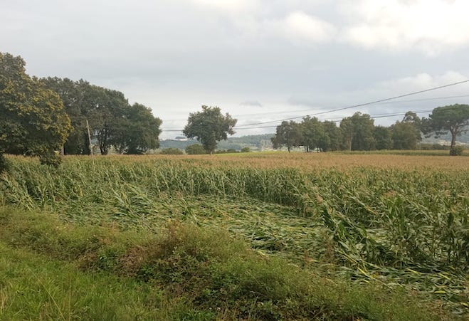 Silleda