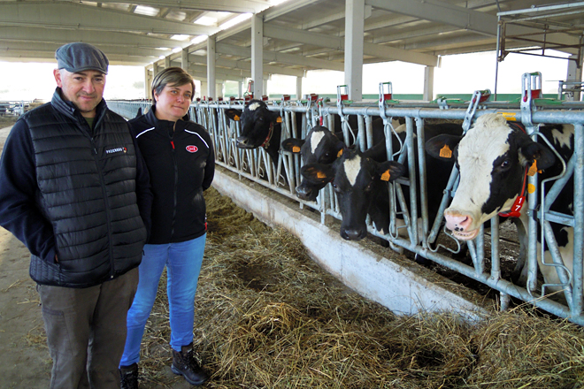 José Luis e Berta, xunto ás súas vacas na nova nave que construiron