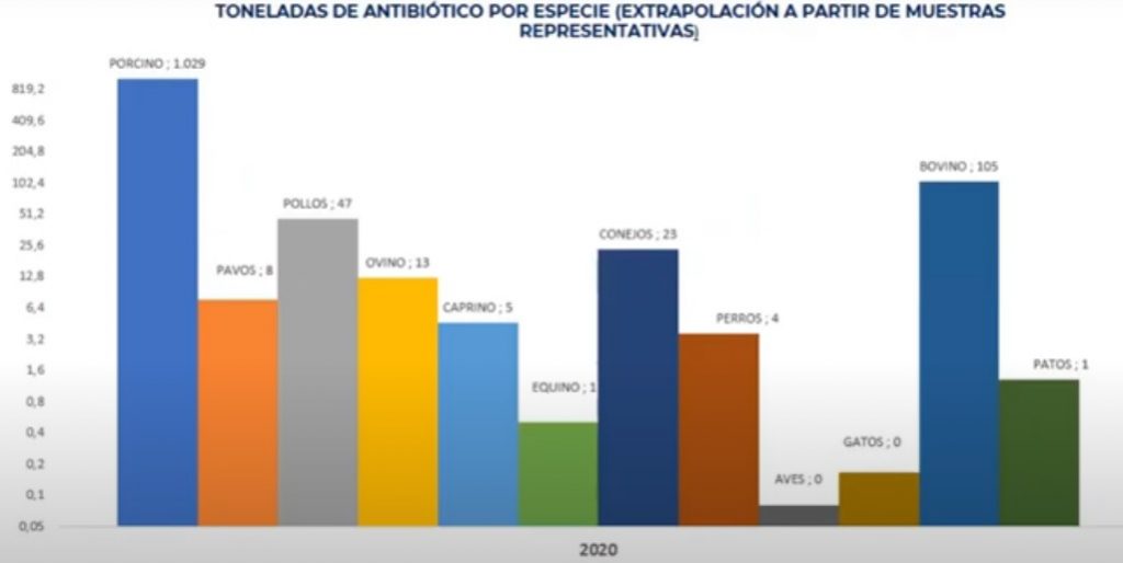antibioticos datos por especie