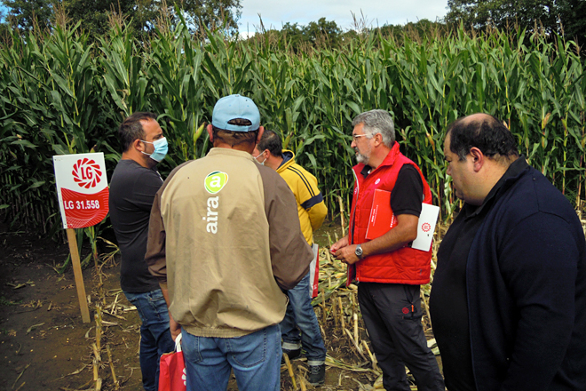 Un momento da visita de técnicos e gandeiros ao campo de ensaio de Sarria