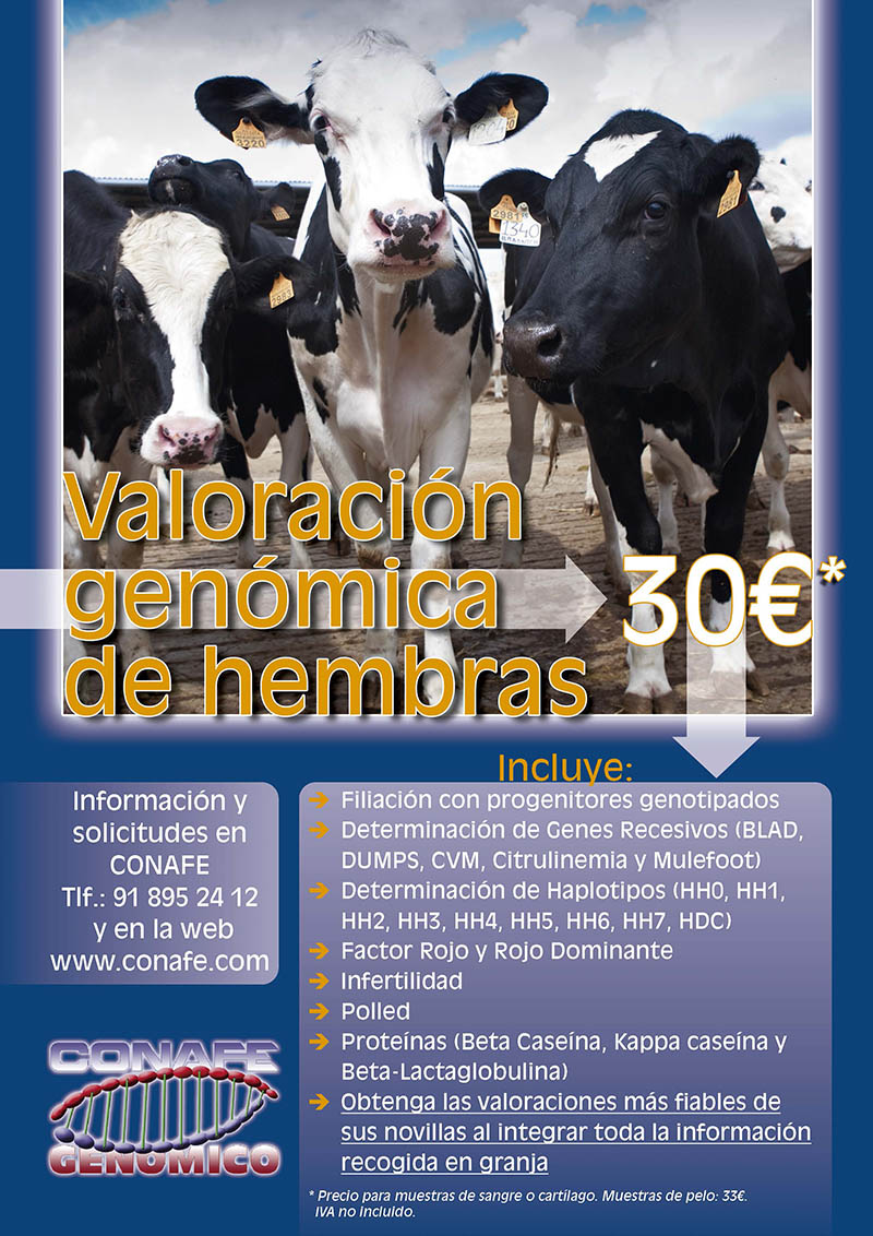 servicio-CONAFE-valoracion-genomica-hembras
