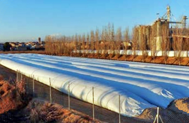 Silos de grano húmedo de maíz de la cooperativa de Ivars, en Lleida