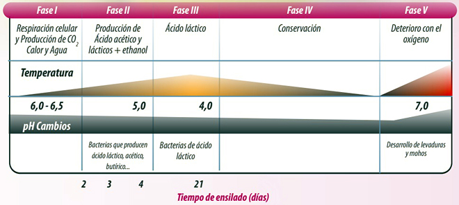 silos grao humido cooperativa de Ivars5