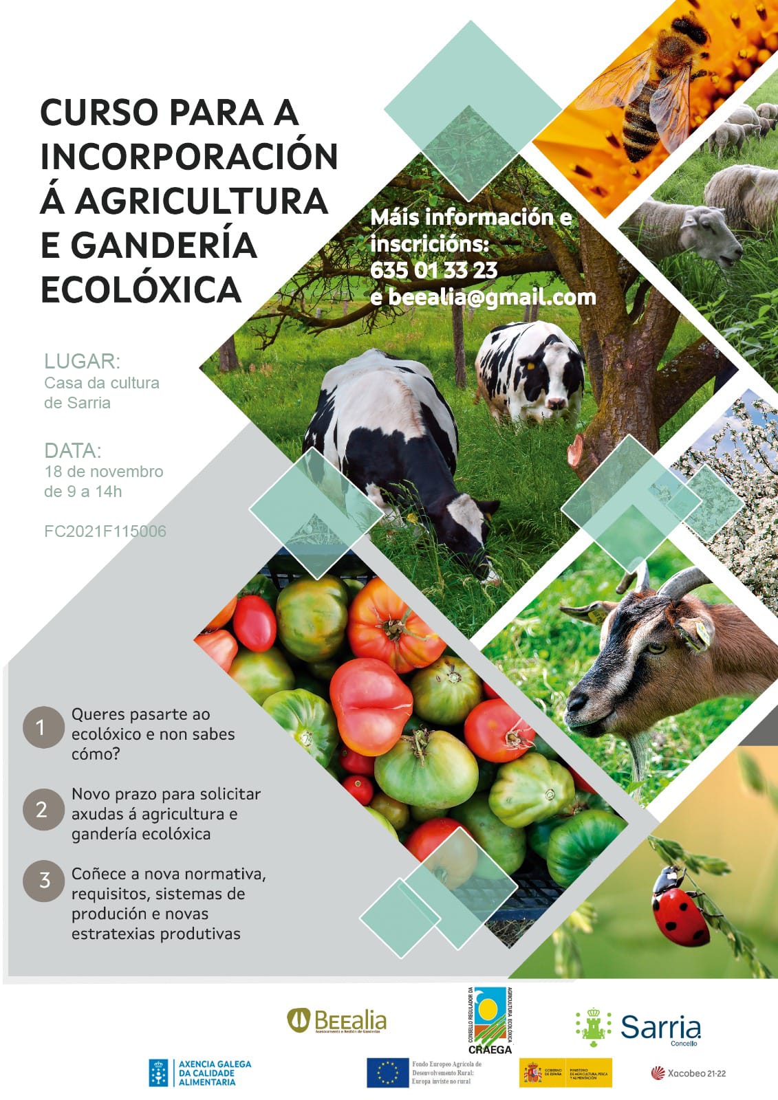 Curso Monforte ganderia horta ecoloxica Beealia