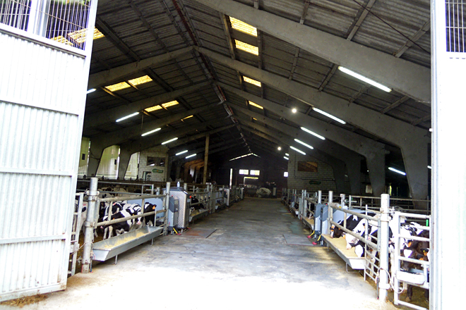 ICORE Campoastur instalaciones nave antigua explotacion lactea