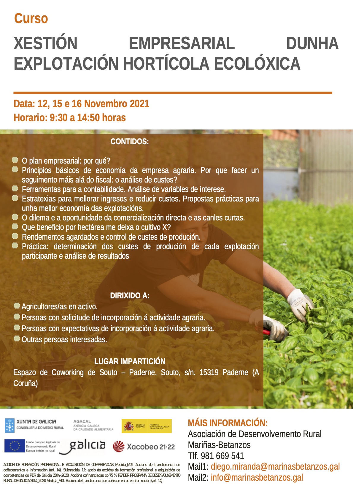cartel curso xestion