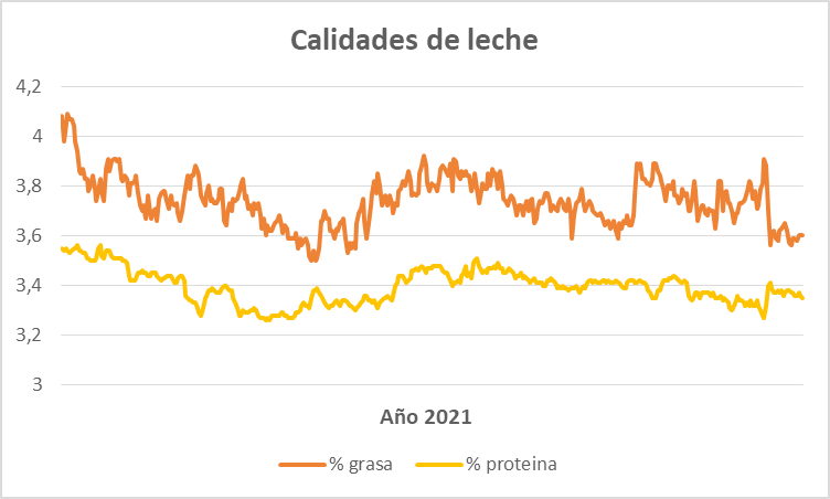 SAT CAAMAÑO LELY LEITE