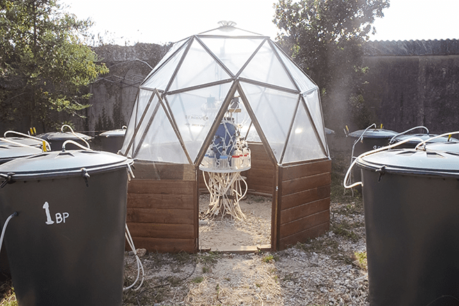 Bidóns de experimentación con diferentes tratamentos de xurro con biochar