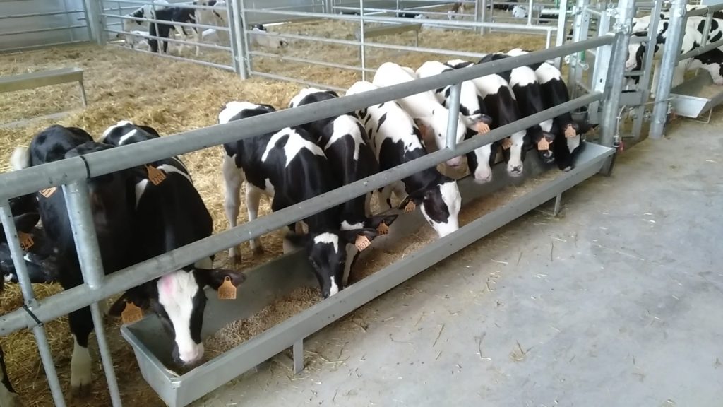 Insumos como la leche maternizada o los piensos han incrementado sus precios en los últimos meses