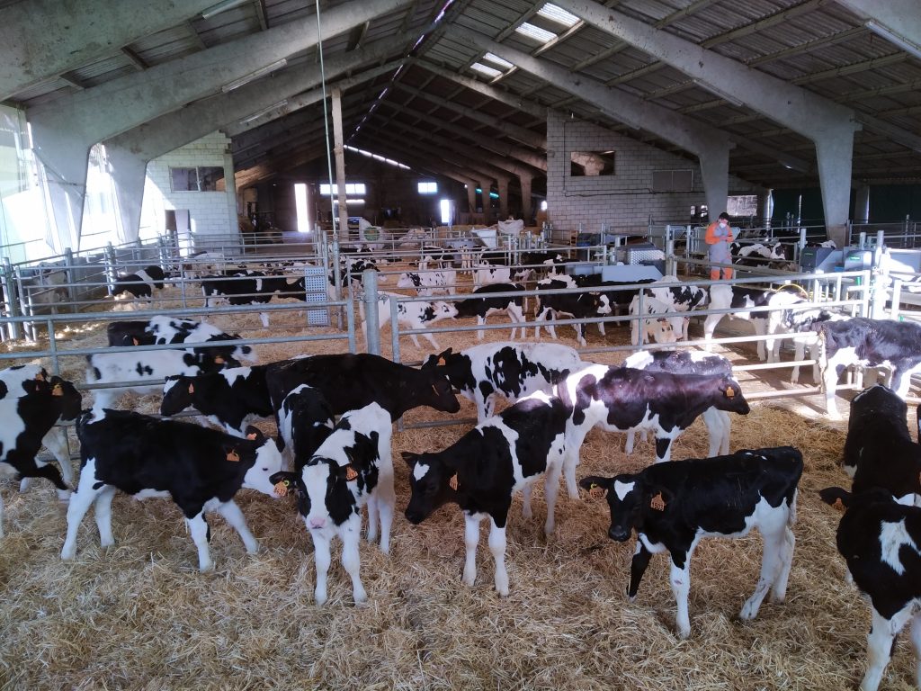 Icore Campoastur2