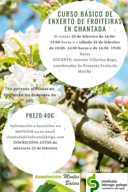 curso slg enxerto froiteiras