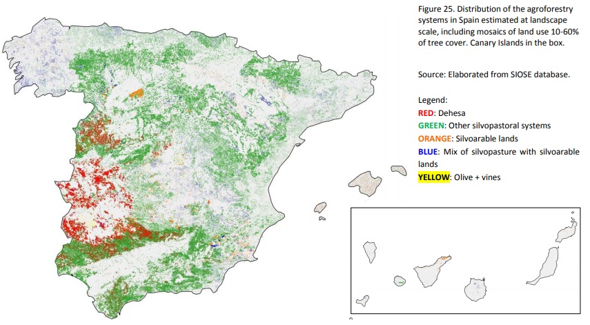 mapa sistemas silvopastorís en España