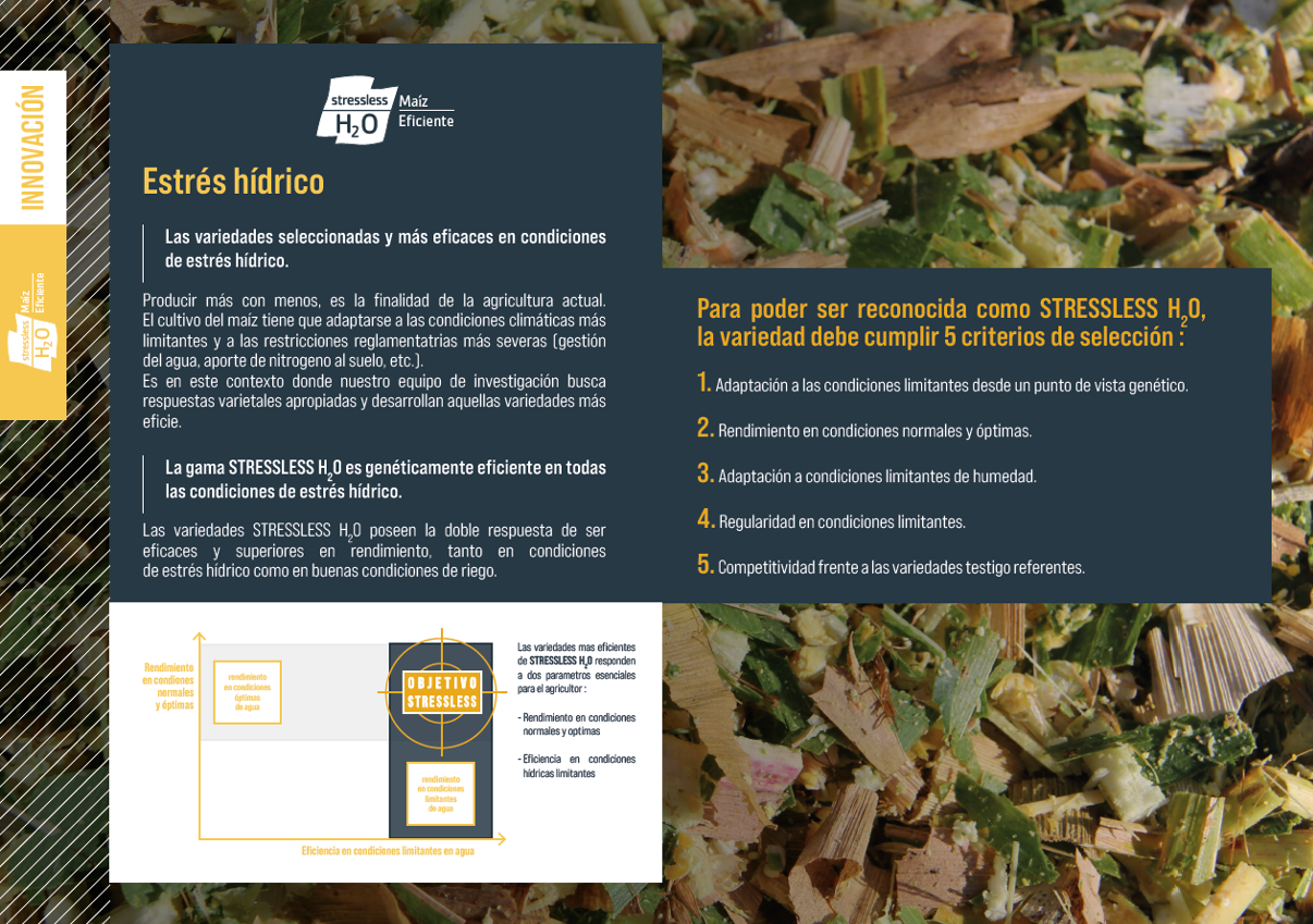 RAGT CATALOGO MILLO 2022.10