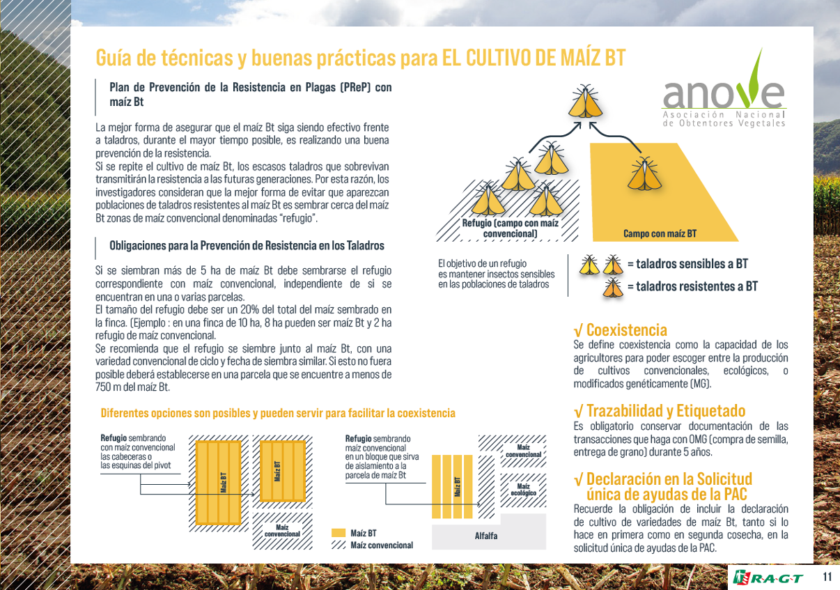 RAGT CATALOGO MILLO 2022.11