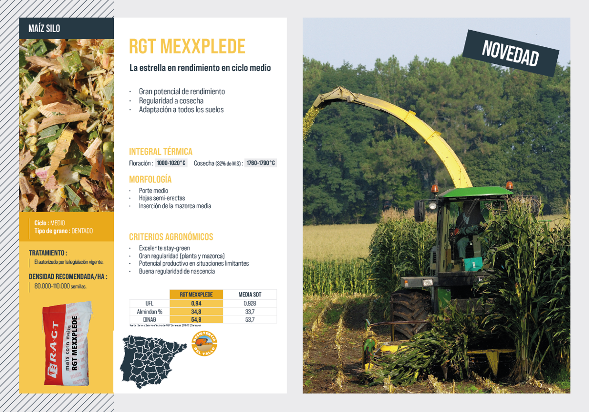 RAGT CATALOGO MILLO 2022.14
