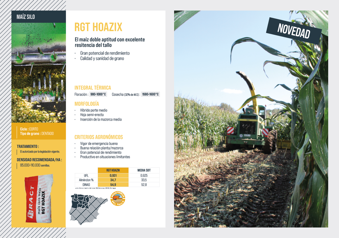 RAGT CATALOGO MILLO 2022.16