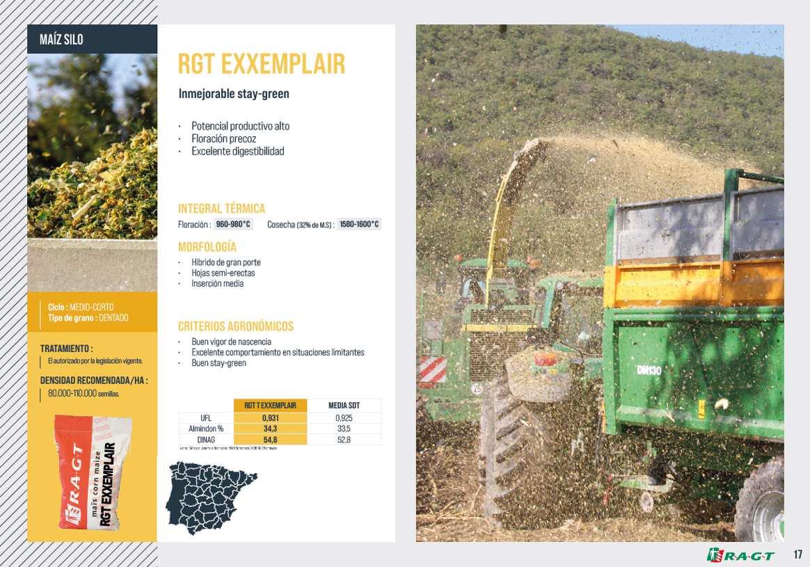 RAGT CATALOGO MILLO 2022.17
