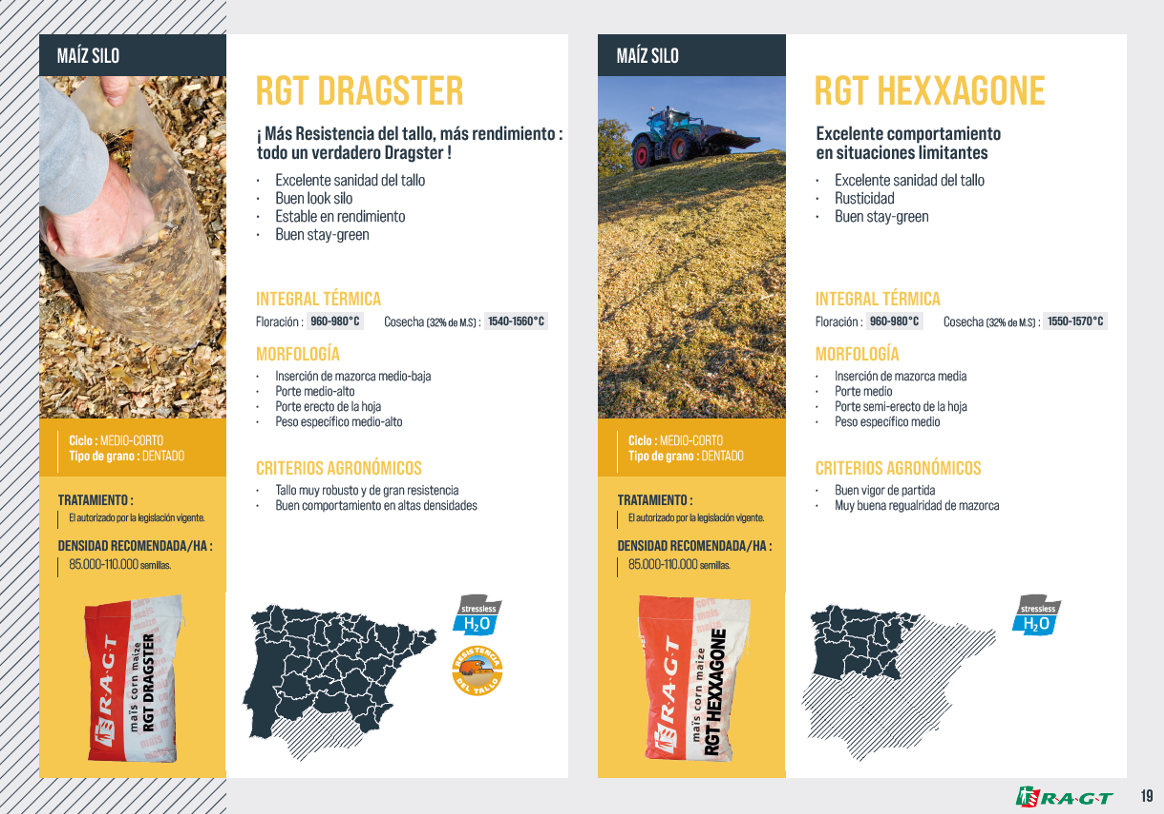 RAGT CATALOGO MILLO 2022.19