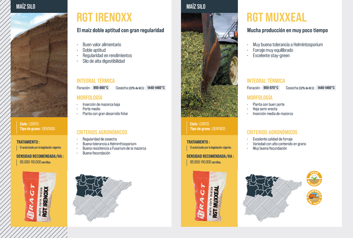 RAGT CATALOGO MILLO 2022.20