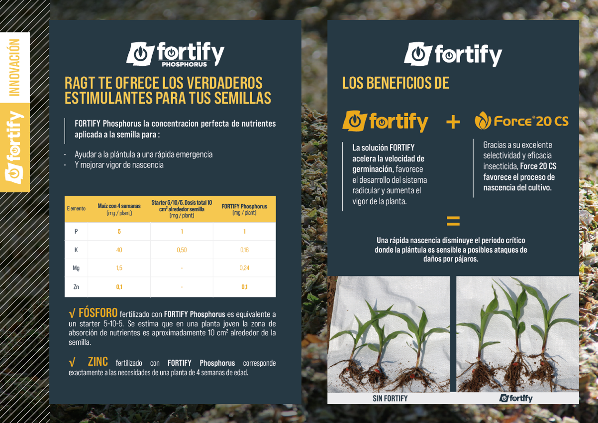 RAGT CATALOGO MILLO 2022.6
