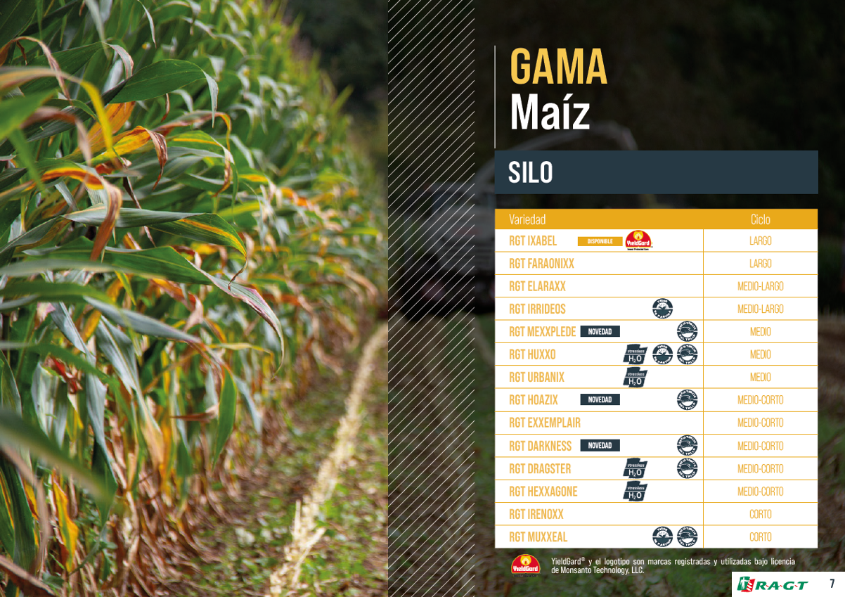 RAGT CATALOGO MILLO 2022.7