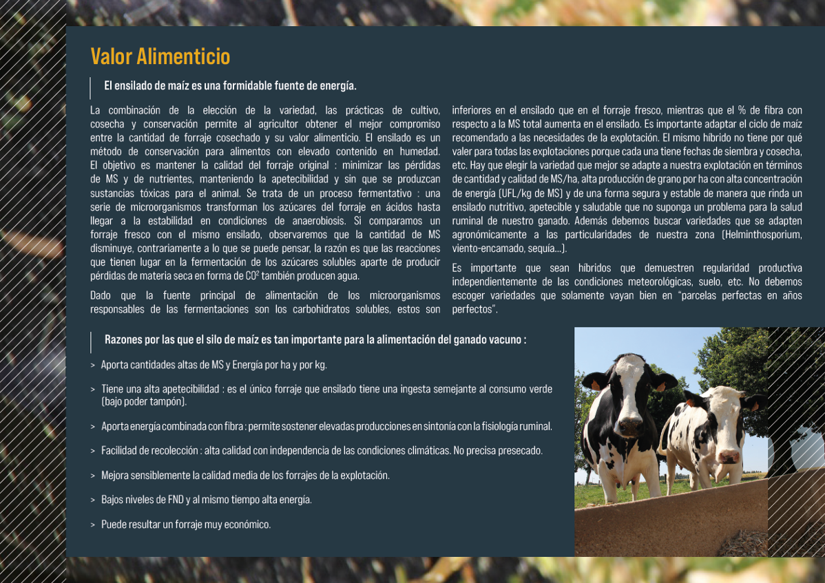 RAGT CATALOGO MILLO 2022.8
