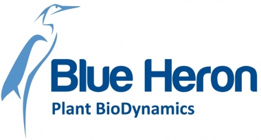 logo BH horizontal