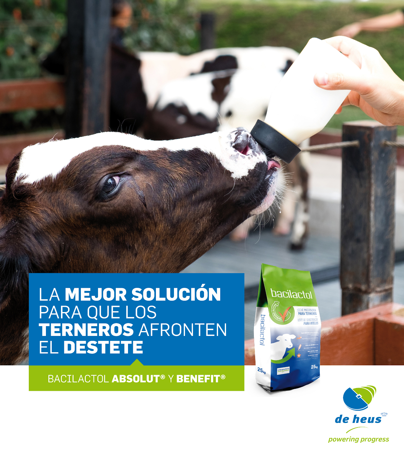 BECERRO DE HEUS_bacilactol kovital 2