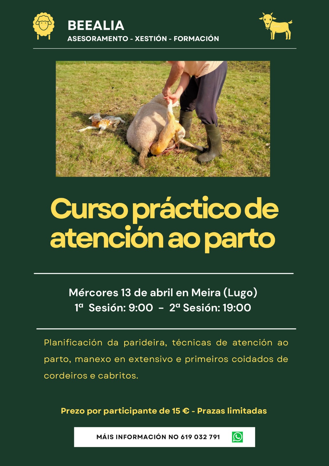CURSO BEEALIA ATENCION PARTO OVINO