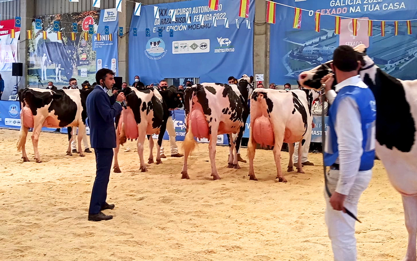 Un momento do Concurso Fefriga 2022 celebrado a comezos de abril en Muimenta