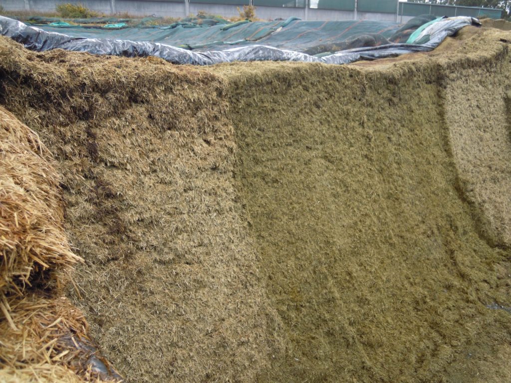 SAT Seixo de Ledoiras (Frades) silo herba