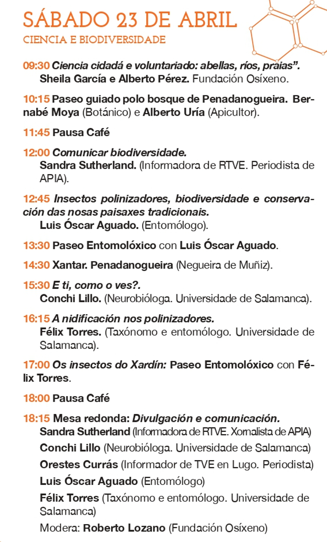 TRÍPTICO PROGRAMA2
