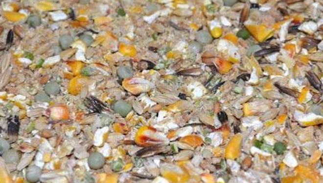 Mezcla de cereales ecológicos empleada por la ganadería.