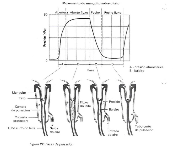 sistema pulsacion _maquina de muxir