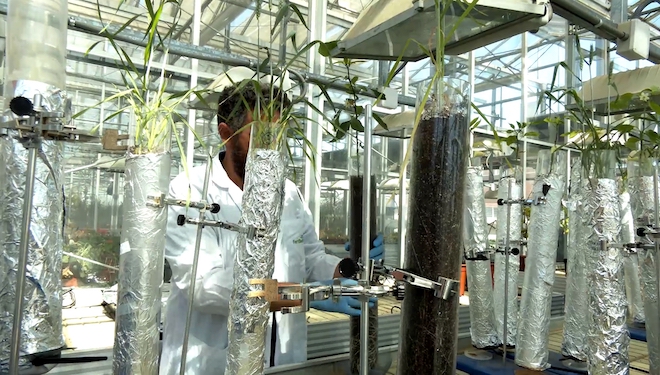 2.- Centro de Investigación Grupo Fertiberia