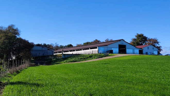 Ganderia Cadahías_taboada Lugo