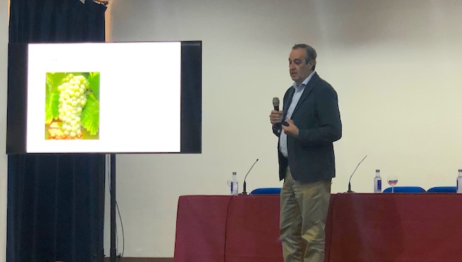 Jose Hidalgo