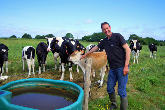LA MEMERE (Bretaña) vacas nodrizas para recría